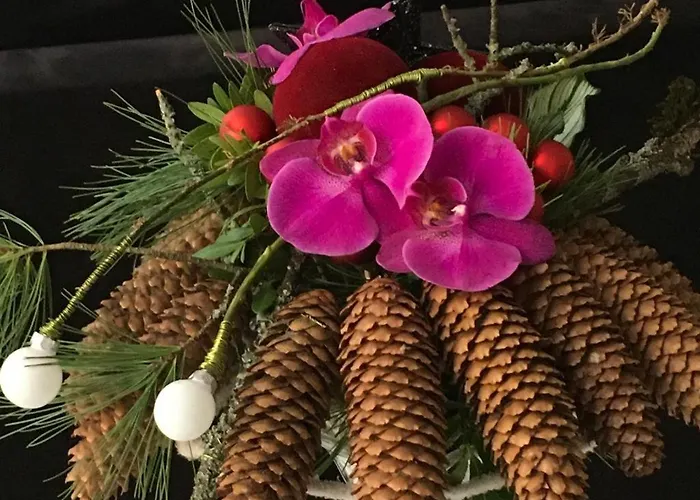 Serenite Au Centre N 5 Apartamento