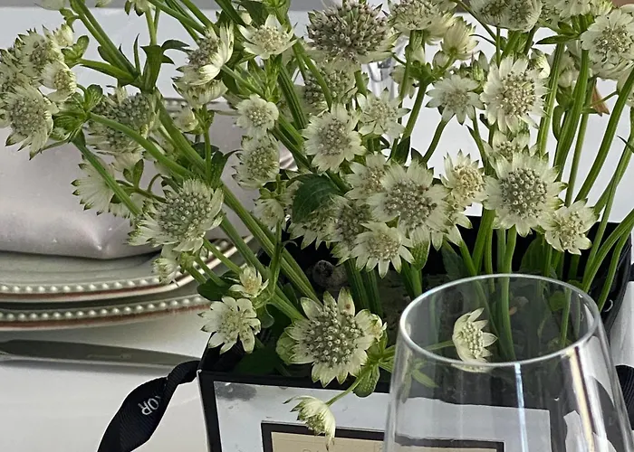 Serenite Au Centre N 5 Apartamento