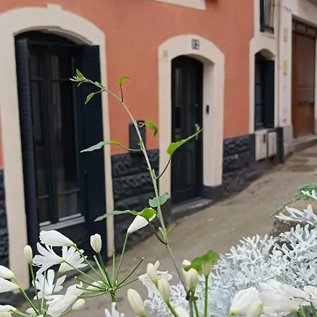 Serenite Au Centre N 5 Apartmán Lurdy