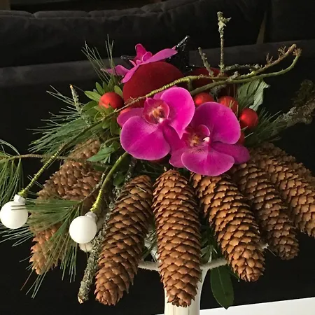 Sérénité Au Centre N 5 Appartamento