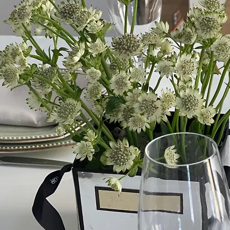 Sérénité Au Centre N 5 Appartamento